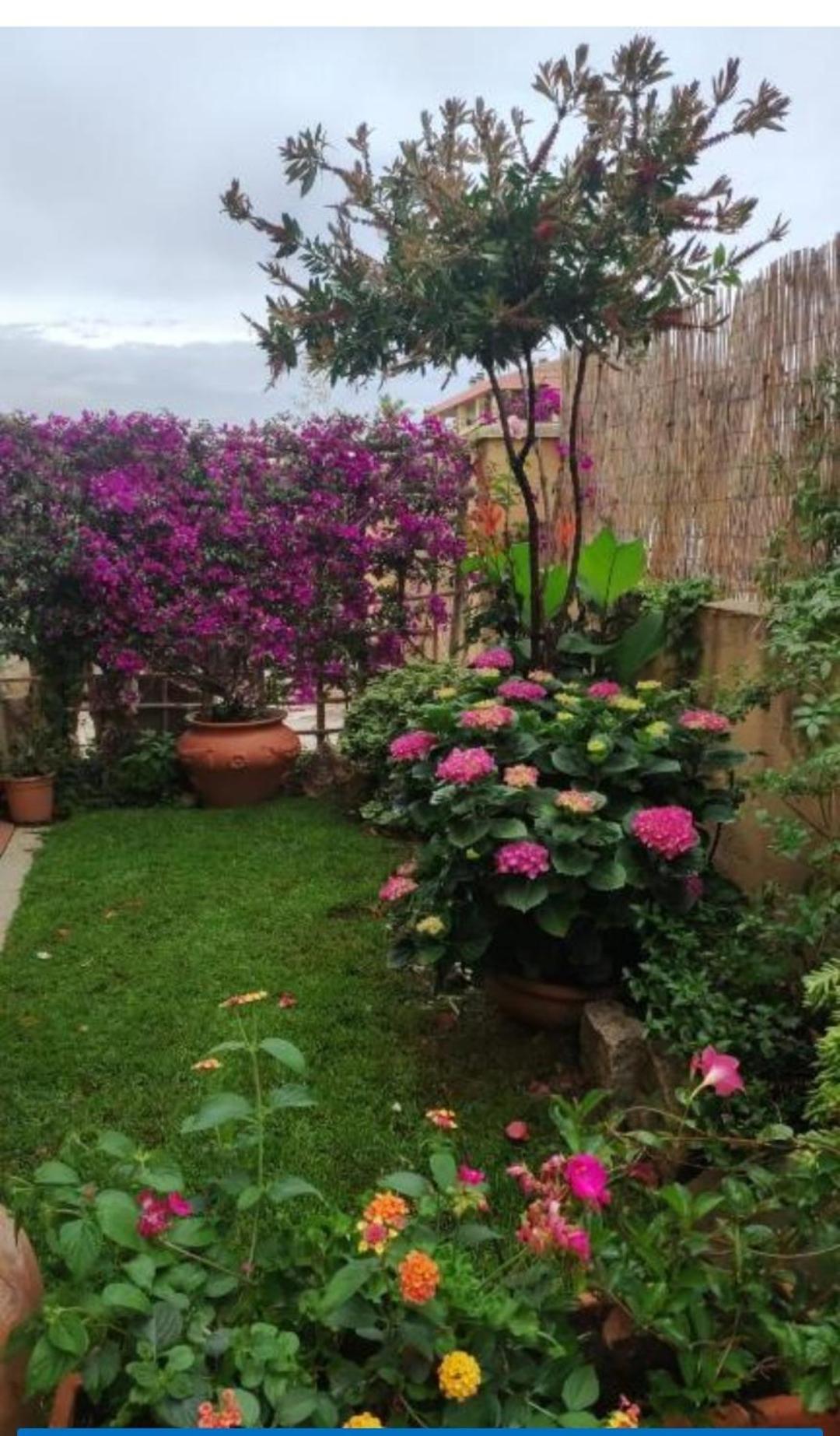 La Casa Di Luca Apartment Olbia Luaran gambar